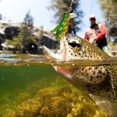 thumbnail image 3 of Señuelo De Pesca De Cigarra, Anzuelo Agudo Agudo Micro Señuelos De Pesca Altamente Simulados Para Pescar, 3 of 8