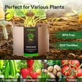 thumbnail image 7 of VIVOSUN 5-Pack 10 Gallon Brown Grow Bag, Fabric Pot with Handles for Vegtables and Plants, 7 of 7