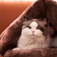 thumbnail image 4 of AZXY Covered Dog Beds,Dog Beds for Small Dogs,Washable Dog Bed Medium,Cute Warm Small Cat Bed,Chew Proof Cotton Funny Fuzzy Pet Beds for Cats Clearance, 4 of 6
