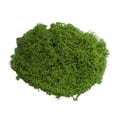thumbnail image 1 of Musgo verde artificial de 30/100 g para manualidades, plantas de interior, jardines de hadas, centros de mesa, peceras, micropaisajes, musgo artificial decorativo., 1 of 8