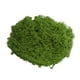 thumbnail image 1 of Musgo verde artificial de 30/100 g para manualidades, plantas de interior, jardines de hadas, centros de mesa, peceras, micropaisajes, musgo artificial decorativo., 1 of 8