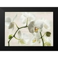thumbnail image 2 of Jenny, Thomlinson 14x11 Black Modern Framed Museum Art Print Titled - Ivory Orchids, 2 of 5