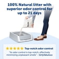 thumbnail image 4 of PetSafe ScoopFree Premium Natural Cat Litter, Non-Clumping, 2 packs of 4.2 lb, 4 of 7