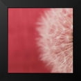 thumbnail image 2 of Aledanda 15x15 Black Modern Framed Museum Art Print Titled - Dandelion on Red II, 2 of 5