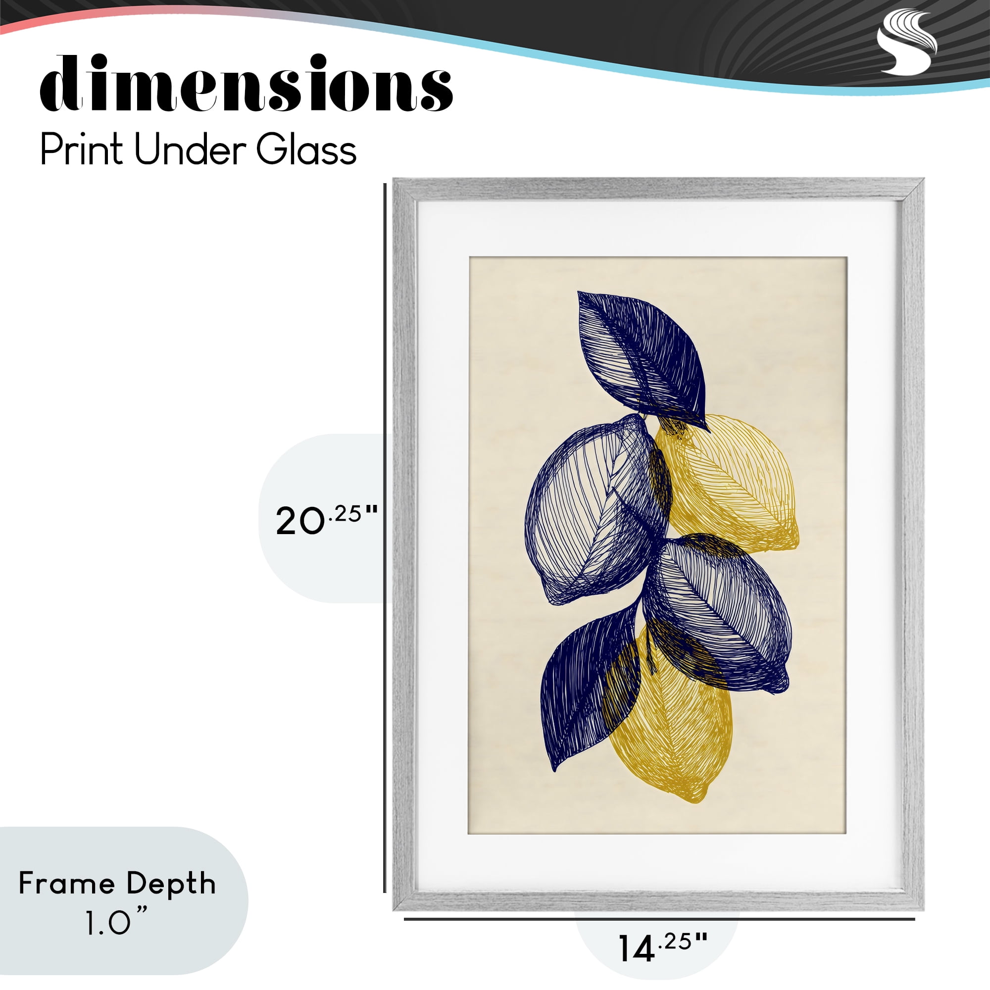 Stupell Industries Navy Lemons Botanical Sketch Gray Framed Print Under Glass, design by Petal Prints Design