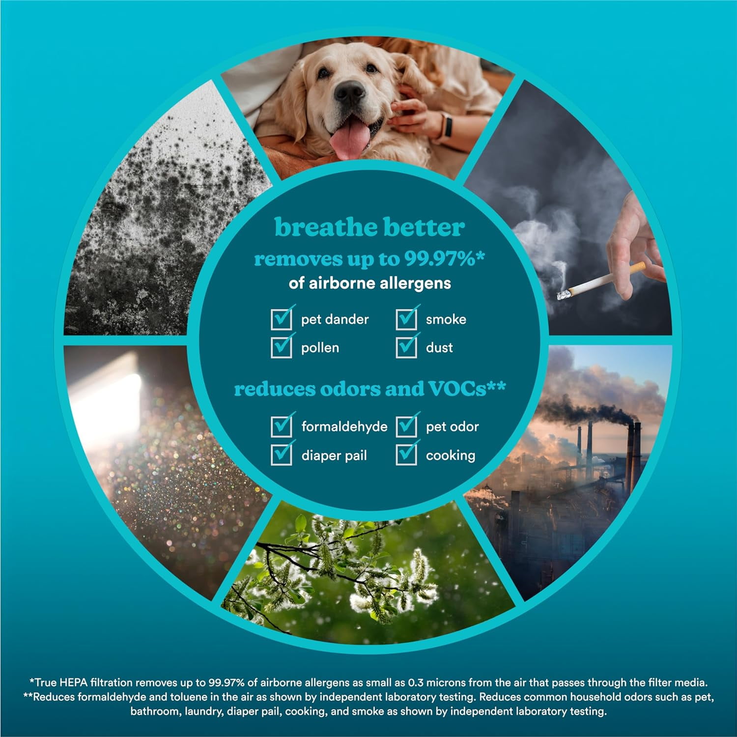 Homedics 3-1 Air Purifier, 975 Sq. ft of Coverage/Hour. True HEPA Filtration, Activated Carbon Odor Filter, Pre-filter, Reduces Airborne Allergens, for Medium Rooms