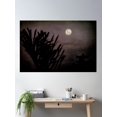 thumbnail image 2 of Midnight Moon Amongst Palms Poster Wall Art, Modern Wall Decor, 12x18 UNFRAMED, 2 of 3