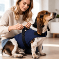 thumbnail image 4 of TELOLY 2026 New Dog Anxiety Relief Coat, Adjustable Shirts for Dogs Anxiety, Dog Anxiety Vest Jacket for Fireworks, Thunderstorm, Travel, Separation, Anxiety Calming Vest Wrap, 4 of 7