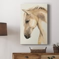thumbnail image 5 of Golden Palomino II Premium Gallery Wrapped Canvas - Ready to Hang, 5 of 9