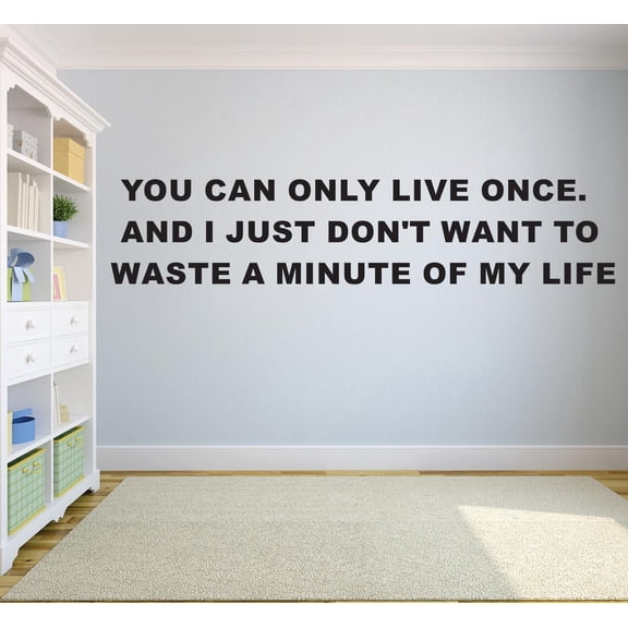 You Can Only Live Once And I Just Dont Want To Waste A Minute Of My Life Motivation Life Quote Custom Wall Decal Vinyl Sticker Art Lettering 8 Inches X 30 Inches