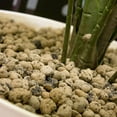 thumbnail image 2 of GROW!T GMC10L Hydroponic 100% Natural Clay Pebbles, .35 Cubic Feet/10 Liter Bag, 2 of 6