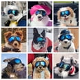 thumbnail image 2 of Gafas para Perro NAMSAN para Razas Pequeñas con Hocico Ancho, Lentes Azules Anti-UV, 2 of 8