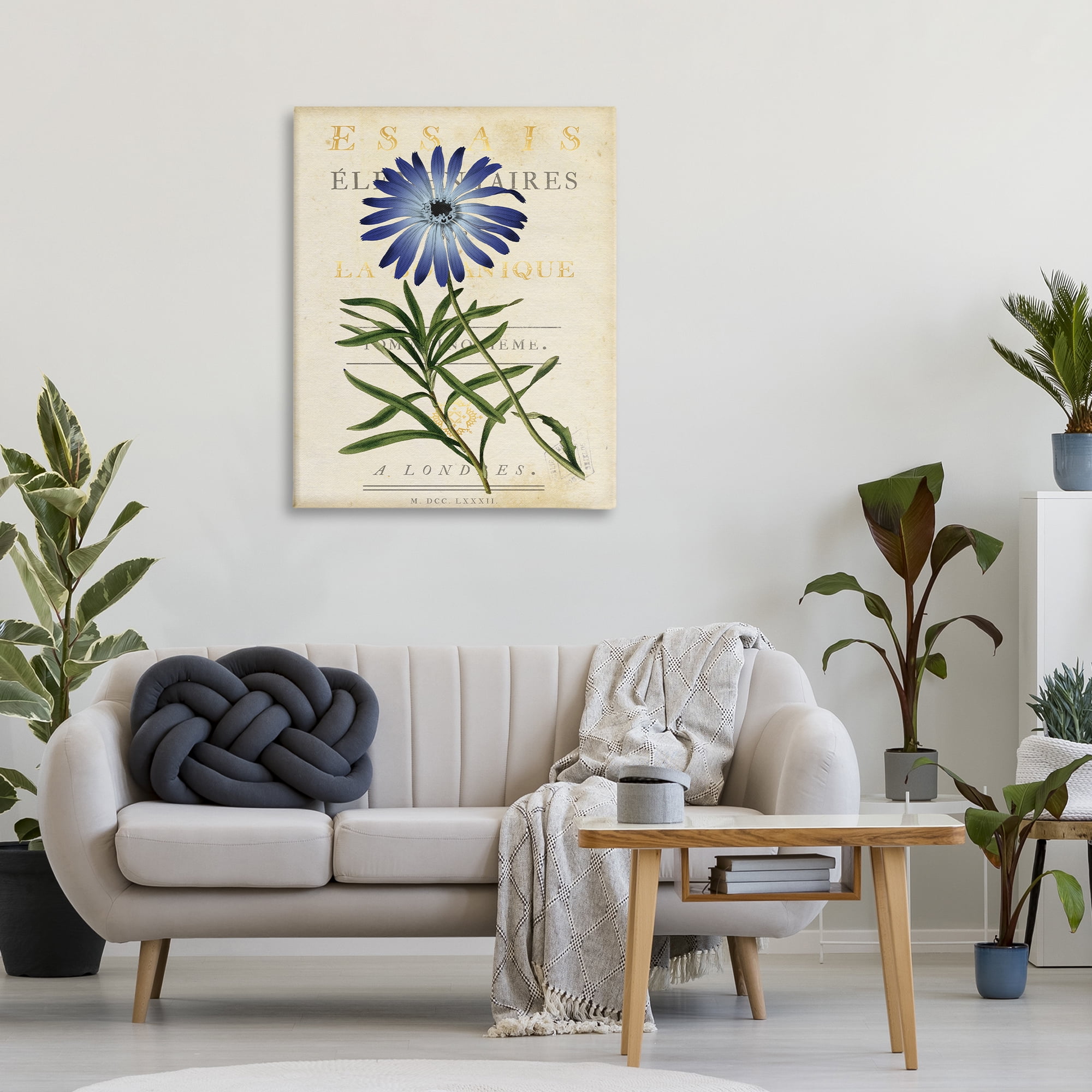 Stupell Industries Natural Botany Daisy Canvas Wall Art, design by Susan Arnot