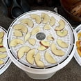 thumbnail image 3 of PinesC Multi-Usage Drying Tray Silicone Dehydrator Sheets, Non-Stick Food Grade Non-BPA, Reusable Steamer Mesh, Perfect For Drying Fruits & Vegetables, Compact Storage Rollable,, 3 of 5
