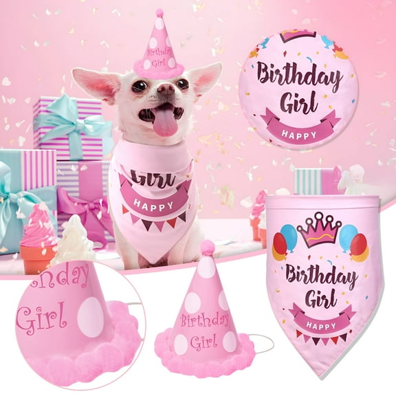 TELOLY Dog Birthday Party Supplies, Multi Size Offered, Birthday Girl Dog Bandana, Dog Birthday Hat with Numbers for Small Dogs Pets (Pink)