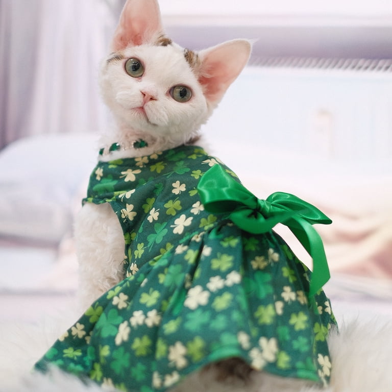 green dress for dogs Love Story Sage Green Pleated Chiffon Dress