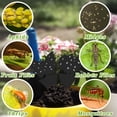 thumbnail image 5 of ACDANC 48PCS Fruit Fly Traps Sticky Traps Fungus Gnat Traps Insect Bug Traps for Indoor Outdoor Kitchen Plants Whitefly Mosquitos Fungus Gnats Flying Insects, 5 of 7