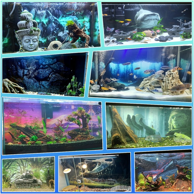 Aquarium Background Sticker - Monstera Leaf Green Plant HD Poster  Decoration - for 5-60 Gallon Fish Tanks Terrarium - Walmart.com