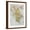 Brown Frame, variant on Art.com Old Map Of Ancient Greece Stretched Canvas Print Wall Art by marzolino, 18" x 24"