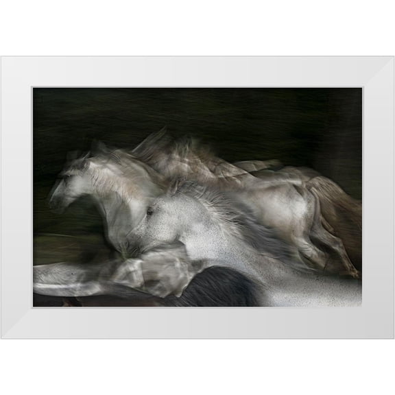 Malovrh, Milan 32x23 White Modern Wood Framed Museum Art Print Titled - into the dark