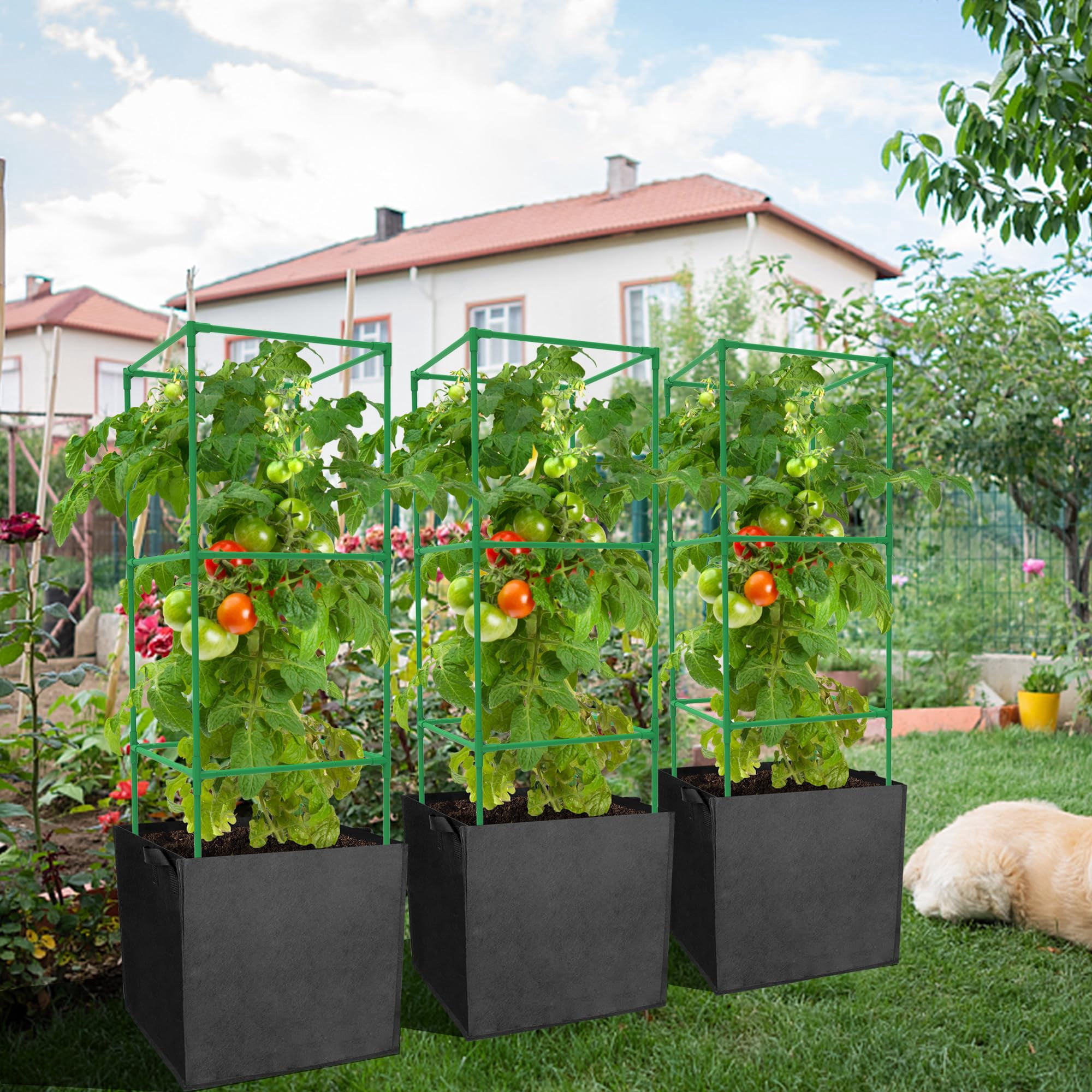 3 packs Garden Tomato Cages with 17.7 Gallon Grow Bags-Alloy Steel Square Plant Support Trellis Assembled for Vertical Climbing Plants