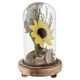 thumbnail image 5 of Micropaisaje de girasol seco en botella de vidrio Amarillo, 5 of 9