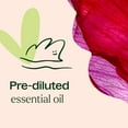thumbnail image 7 of Plant Therapy Rose Absolute Pre-Diluted Essential Oil Roll-On 10 mL (1/3 oz) 100% Pure, Natural Aromatherapy, 7 of 7