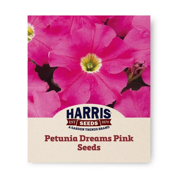 Harris Seeds - Petunia Dreams Pink F1 Seeds For Planting - 500 Seeds