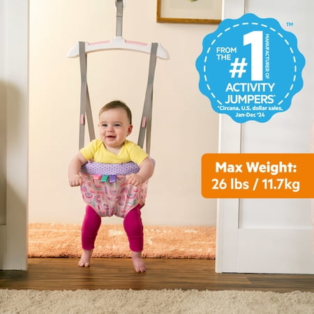 Bright Starts Purple Paradise Baby Door Jumper for 6-12 Months