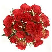 Brilliant Lipstick Roses