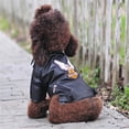 thumbnail image 1 of Glorious Eagle Pattern Dog Coat PU Leather Jacket Soft Waterproof Outdoor Puppy Outerwear Fashion Clothes For Small Pet(XXS-XXL) ShopWise Round, 1 of 7