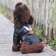 thumbnail image 1 of Glorious Eagle Pattern Dog Coat PU Leather Jacket Soft Waterproof Outdoor Puppy Outerwear Fashion Clothes For Small Pet(XXS-XXL) ShopWise Round, 1 of 7