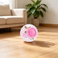 thumbnail image 2 of 5.12‑Inch Transparent Hamster Exercise Running Ball, Small Pet Rolling Toy, Portable Activity Jogging Roller Ball for Dwarf Hamster, Golden Bear Hamster & Gerbil Small‑Animal Play, 2 of 6