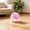 Pink, variant on Pelota ejercicio hámster Golden Bear pelota correr juguete deportivo mascotas pequeñas pelota entrenamiento plástico transparente transpirable hámster suministros fitness actividad diaria
