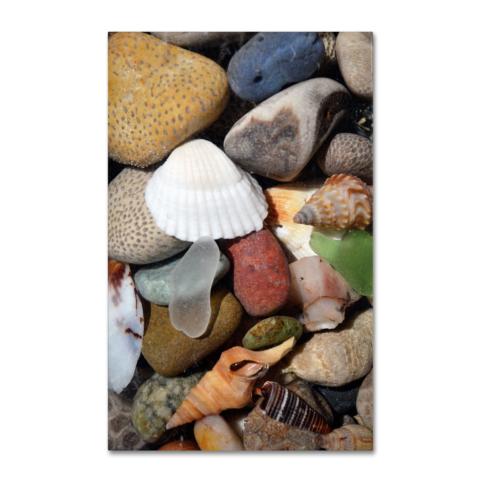 Trademark Fine Art "PetoskeyStones lV" Canvas Art by Michelle Calkins