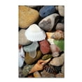 thumbnail image 2 of Trademark Fine Art "PetoskeyStones lV" Canvas Art by Michelle Calkins, 2 of 4