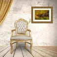thumbnail image 3 of Gulin, Sylvia 18x13 Gold Ornate Wood Framed with Double Matting Museum Art Print Titled - USA-Utah-Highway 89 and canyon walls of Logan pass with fall colors, 3 of 4