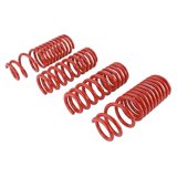 Skunk2 94-01 Acura Integra Lowering Springs (2.50in - 2.25in.) (Set of 4)