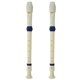 thumbnail image 1 of 2X Instrumento Musical Grabador de Flauta Soprano de 6 Agujeros Blanco Azul, 1 of 8