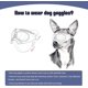 thumbnail image 5 of Gafas para Perros Sincero con Protección UV y Correas Ajustables, 5 of 5