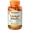 2 Pack - Sundown Ginkgo Biloba, Vegetarian Formula Tablets, 200 ea