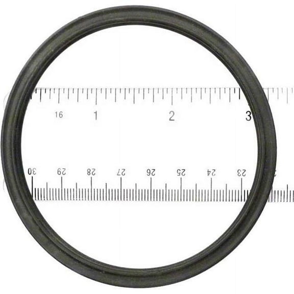 ALA-PT APCO2010 A Swimquip O-Ring