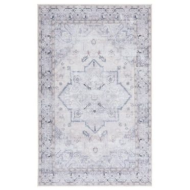 SAFAVIEH Tucson Beulah Traditional Machine Washable Area Rug, 9' x 12', Beige/Grey