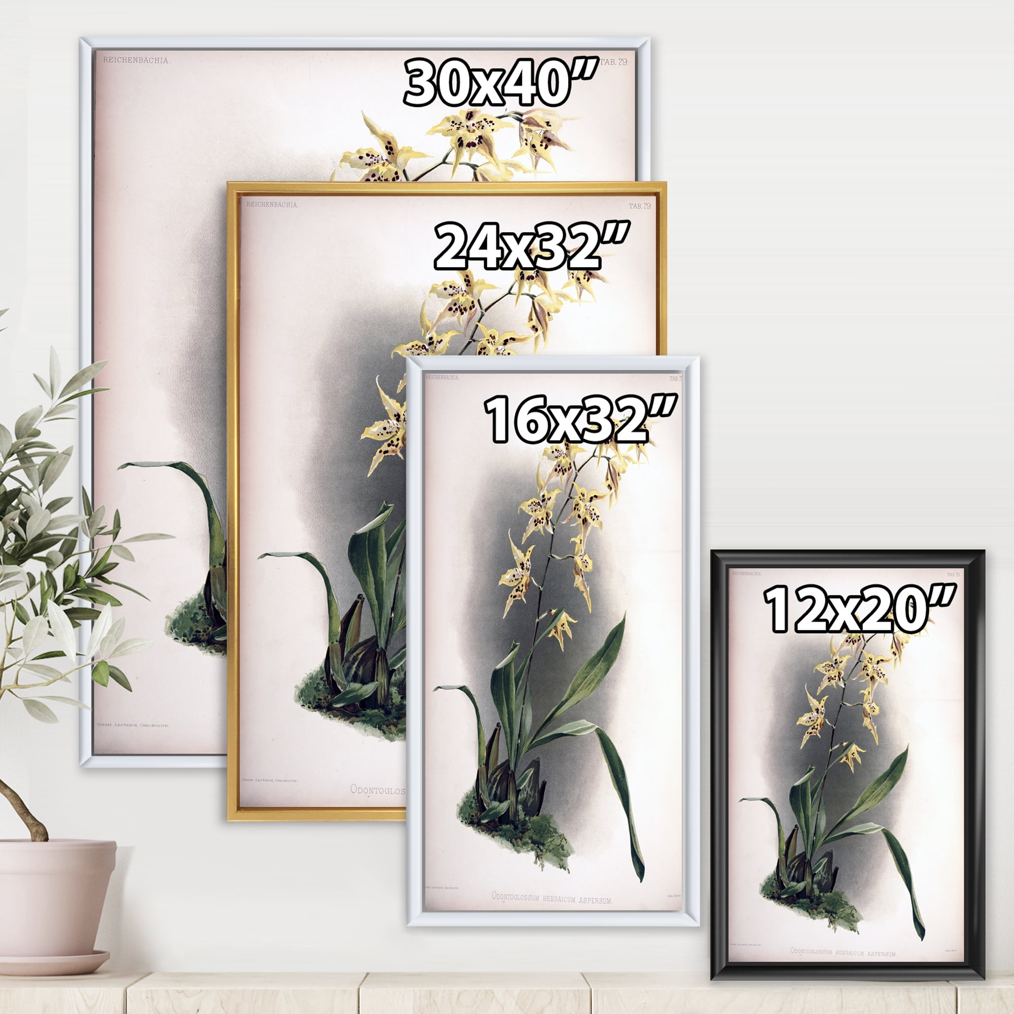 Designart 'Ancient Orchid Flower' Traditional Framed Canvas Wall Art Print