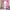 Pink Purple, variant on Curtains & Drapes Japanese Anime Curtains 38''Wx45''L(30%-50% Black Out), Butterfly 30%-50% Blackout Curtains 3D Kawaii Printed Window Curtains Anime Gifts For Guys