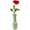 AquaP, variant on TealP Clear Vase for Flowers Glass Attachment Accessories Replacement for Peak Pro Pop Series P