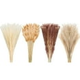 thumbnail image 3 of 100PCS Natural Pampas Grass Bouquet | Boho & Western Wedding Decor Flowers Dried Pampas Grass Decor for Elegant Floral Arrangements, Home & Table Decorations A, 3 of 9