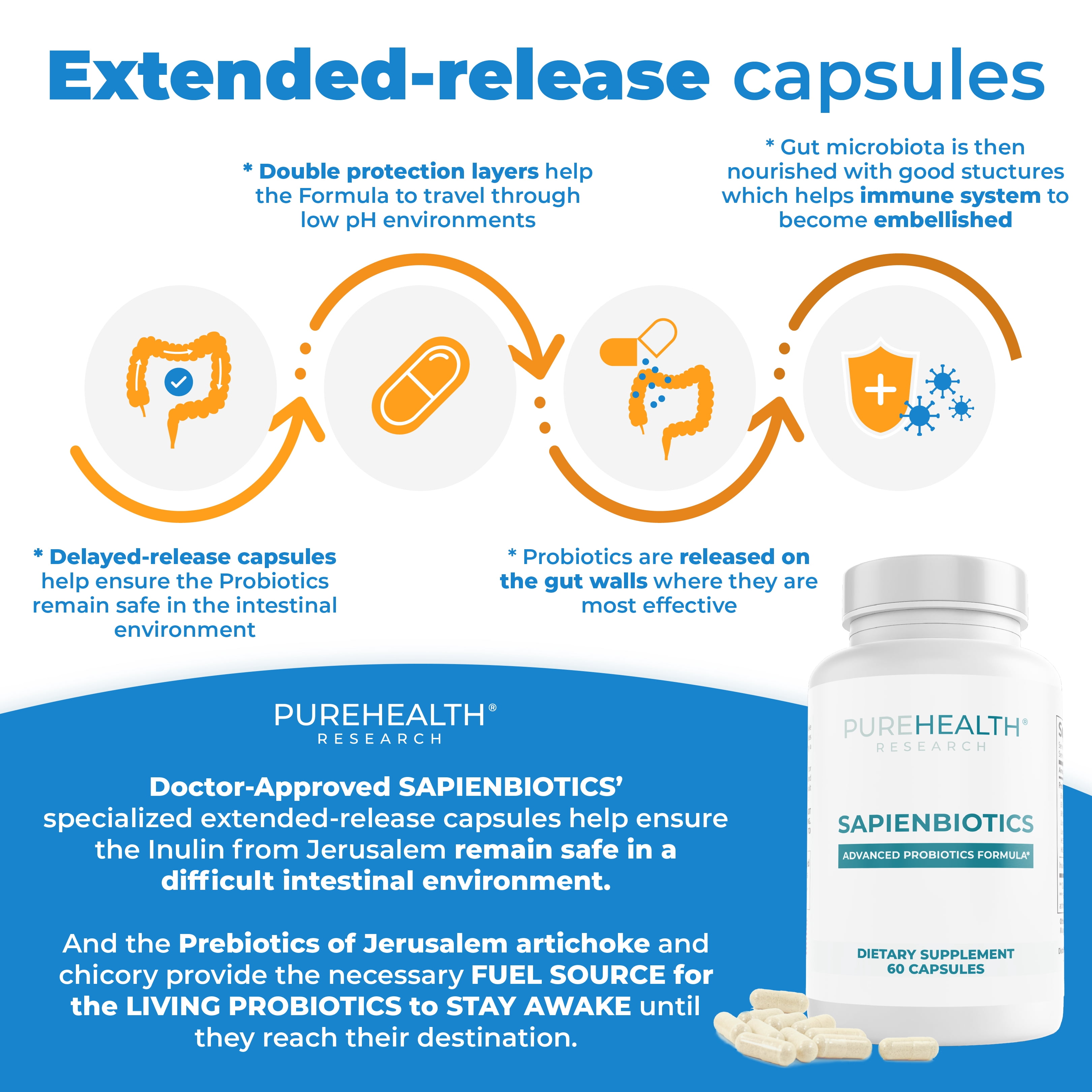 Sapiens Daily Probiotics for Digestive Health, 50 Billion CFU, 13 Strains, Gut Flora Probiotics , Acidophilus Probiotics and Prebiotics by PureHealth Research