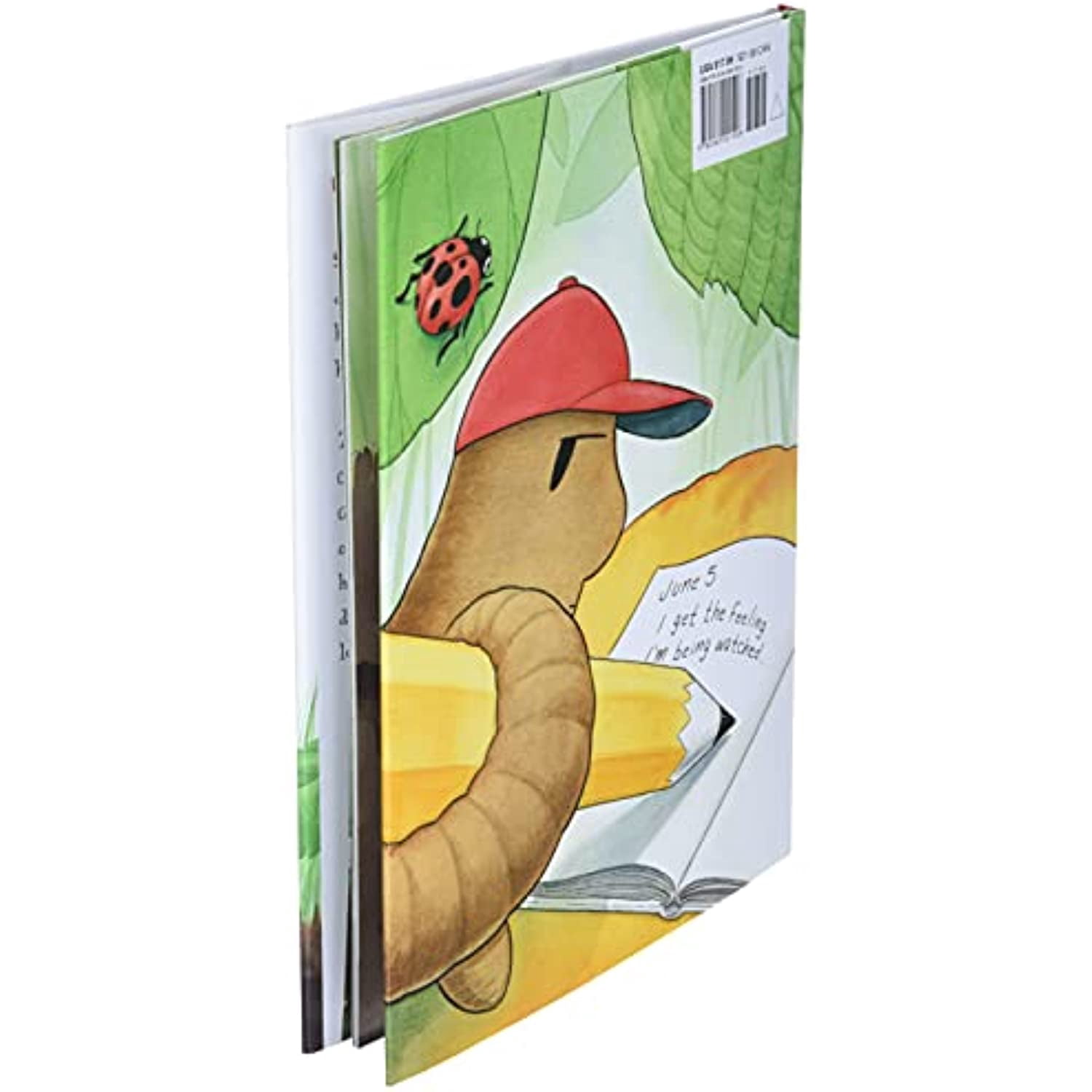 Diary of a Worm, (Hardcover) - Walmart.com