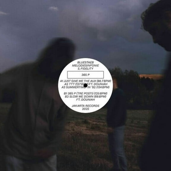 Bluestaeb / Melodiesinfonie & S. Fidelity - 365 P - Music & Performance - Vinyl